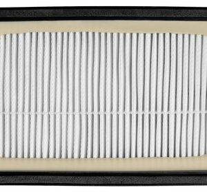 ECG VP-3144/3149 Hepa filter